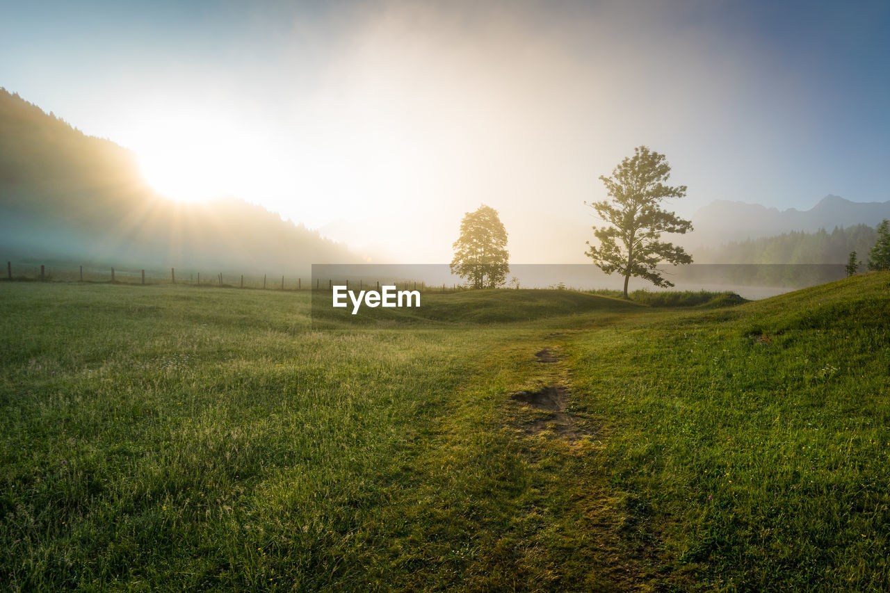 SCENIC VIEW OF GRASSY FIELD AGAINST SKY