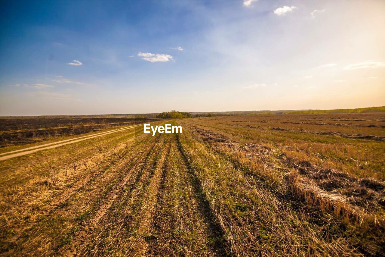 PANORAMIC VIEW OF AGRICULTURAL FIELD AGAINST SKY
