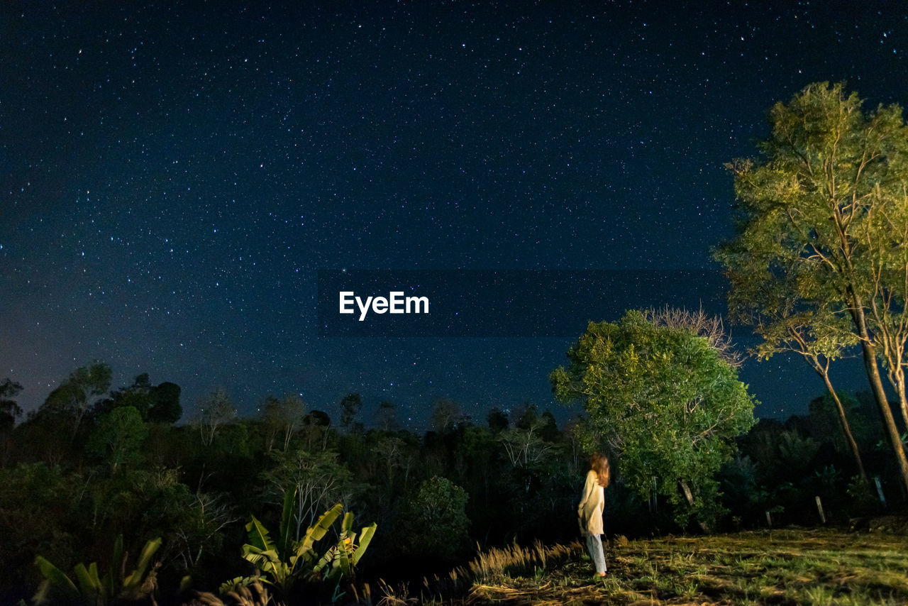 Low angle view of trees against sky at night