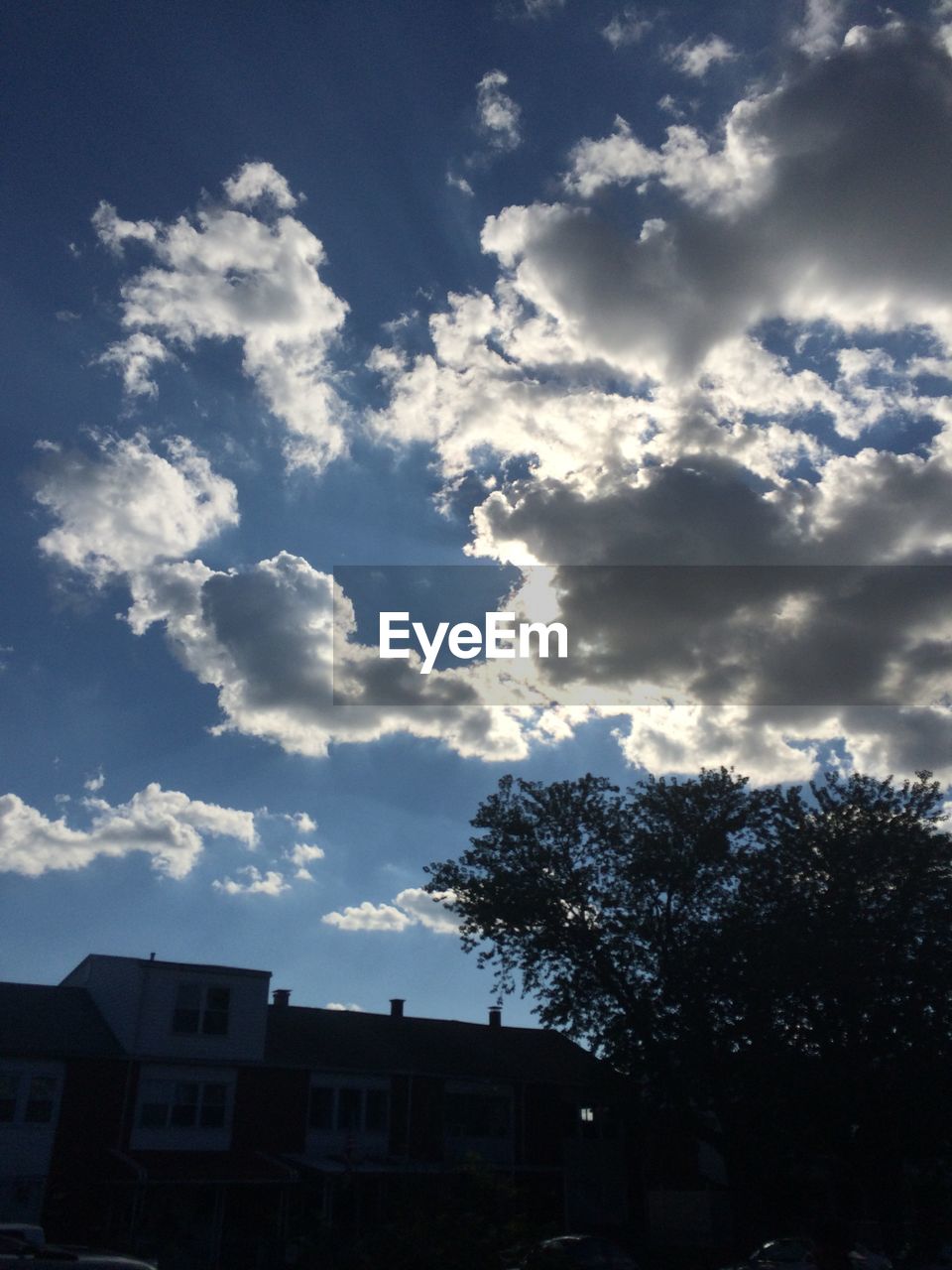 LOW ANGLE VIEW OF TREES AGAINST CLOUDY SKY