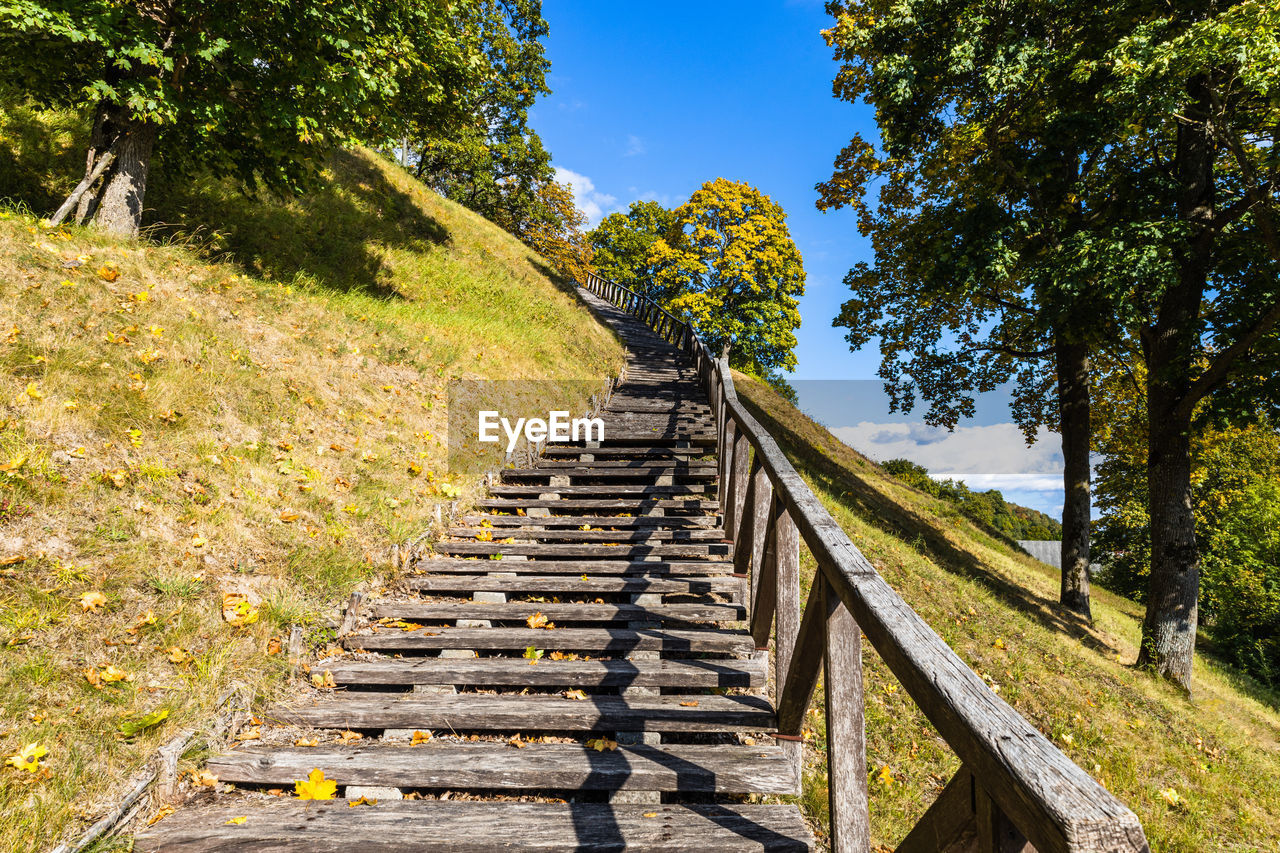 plant, tree, autumn, nature, the way forward, architecture, leaf, land, staircase, sky, sunlight, no people, footpath, forest, beauty in nature, landscape, built structure, day, tranquility, outdoors, environment, scenics - nature, wood, green, rural area, track, steps and staircases, non-urban scene, railing, tranquil scene, sunny, trail, travel, shadow, diminishing perspective, travel destinations, flower, growth, grass, bridge, transportation, transport, woodland