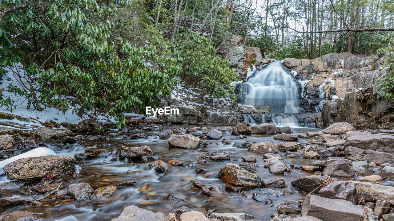 Scenic view of waterfall in forest