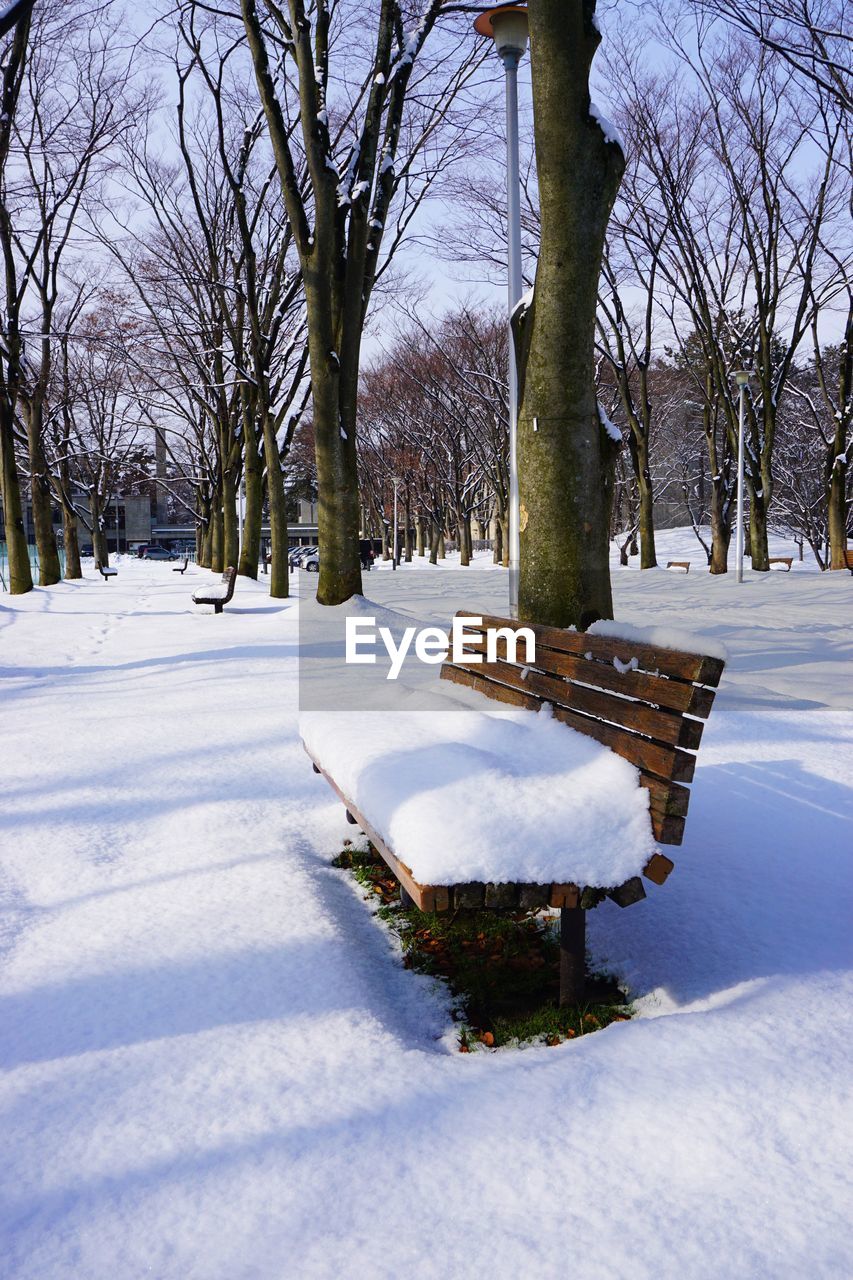 Snow covered trees on field against sky during winter