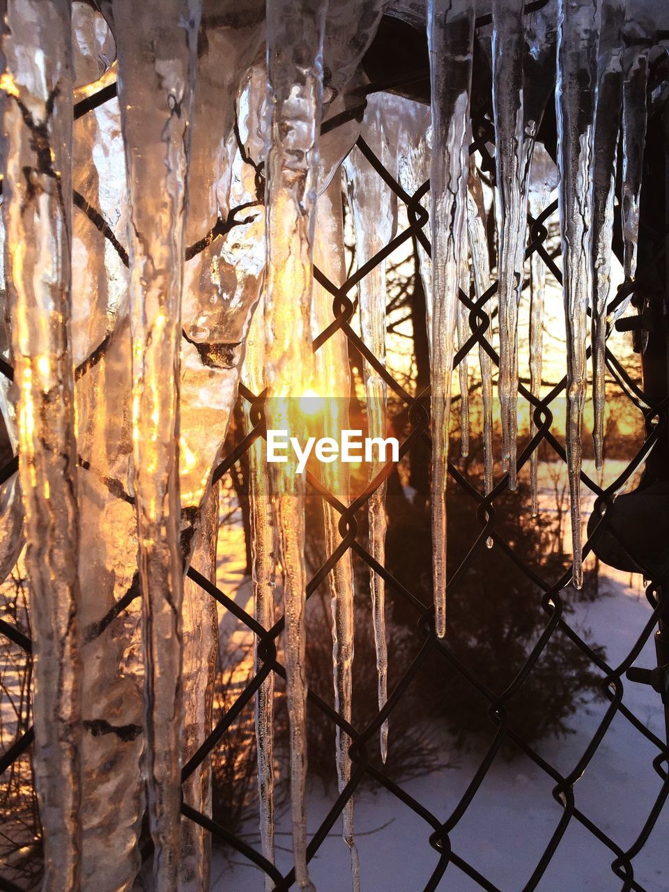Icicles on chainlink fence at sunset