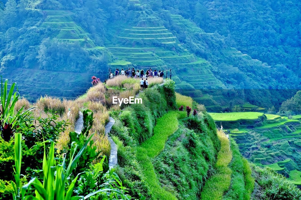 Hikers standing on mountain