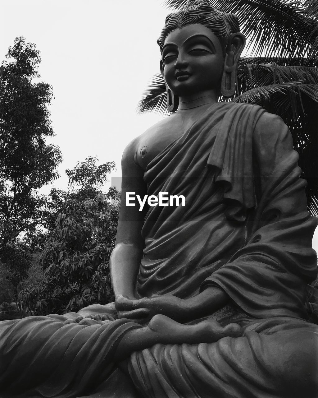 LOW ANGLE VIEW OF YOUNG WOMAN LOOKING AWAY AGAINST TREES AGAINST SKY