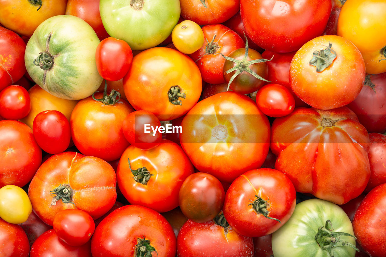 FULL FRAME SHOT OF FRUITS FOR SALE