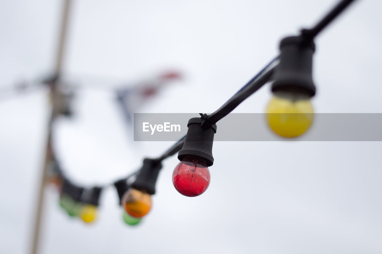 Close-up of light bulbs 