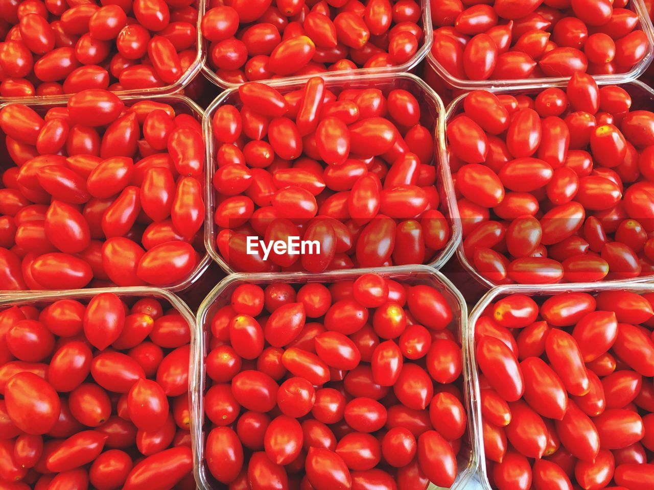 Full frame shot of cherry tomatoes in containers