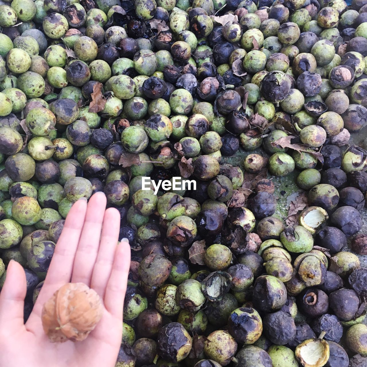 Cropped hand of woman holding walnut over fruits