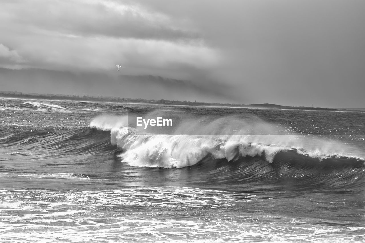 sea, water, wind wave, wave, motion, black and white, ocean, coast, shore, beauty in nature, storm, sky, monochrome photography, cloud, power in nature, land, water sports, sports, nature, surfing, monochrome, wind, environment, scenics - nature, beach, horizon, storm cloud, outdoors, horizon over water, dramatic sky, splashing, white, day