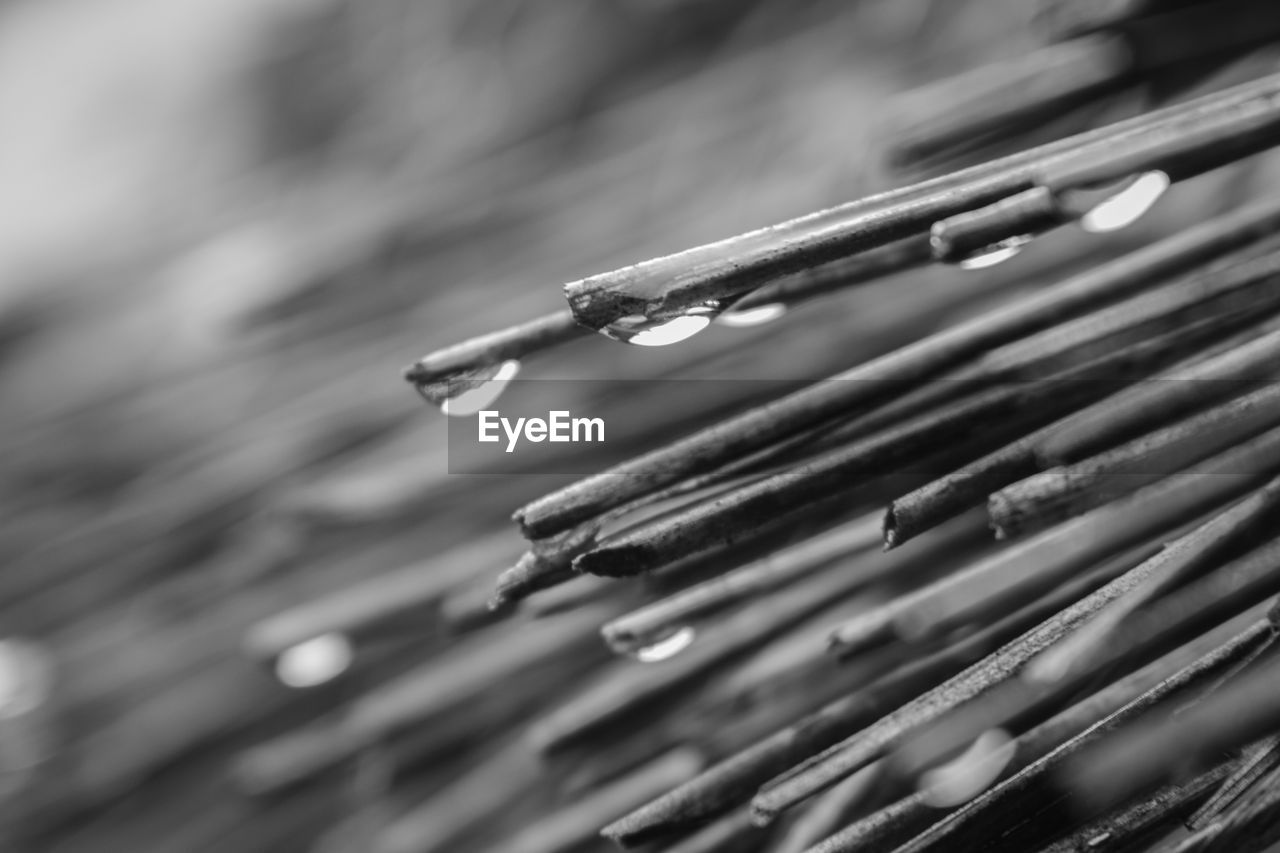 CLOSE-UP OF RAINDROPS ON WINDSHIELD