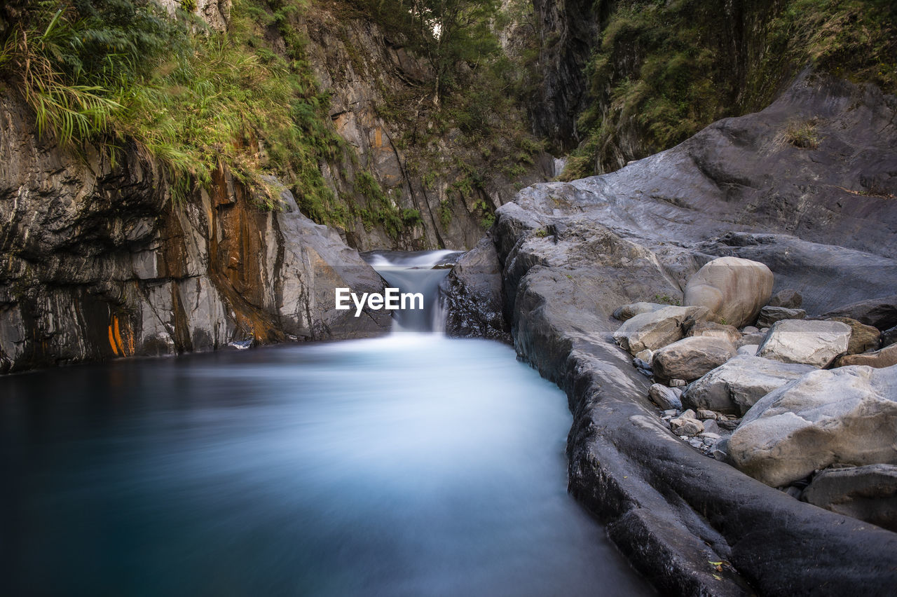 Scenic view of waterfall in forest