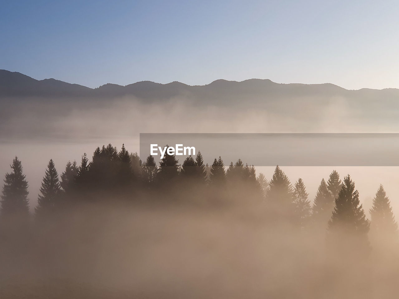 Sunrise over highland forest and mountain skyline