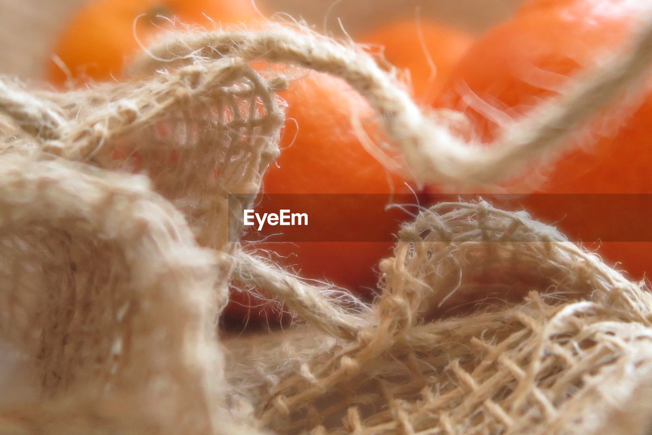 Close-up of fresh juicy oranges on jute