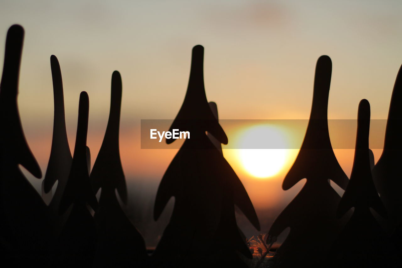 CLOSE-UP OF SILHOUETTE LEAVES AGAINST SUNSET