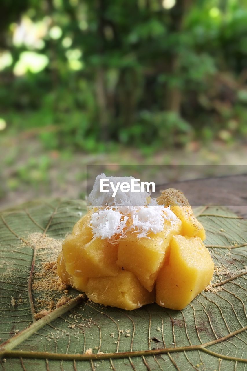 food and drink, food, plant, produce, freshness, no people, fruit, healthy eating, dish, wellbeing, nature, close-up, wood, focus on foreground, citrus, sweet food, yellow, dessert, outdoors, day