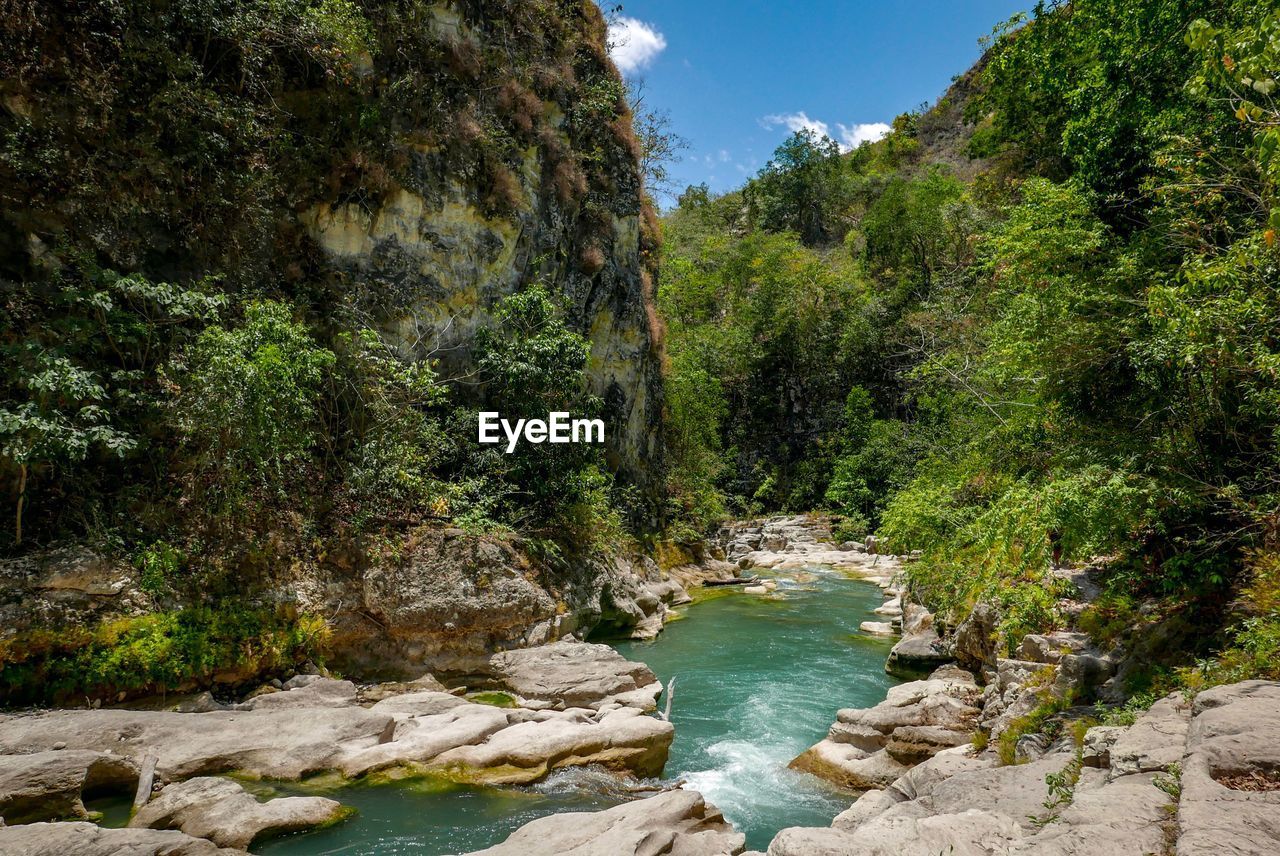 River flowing through rocks in forest