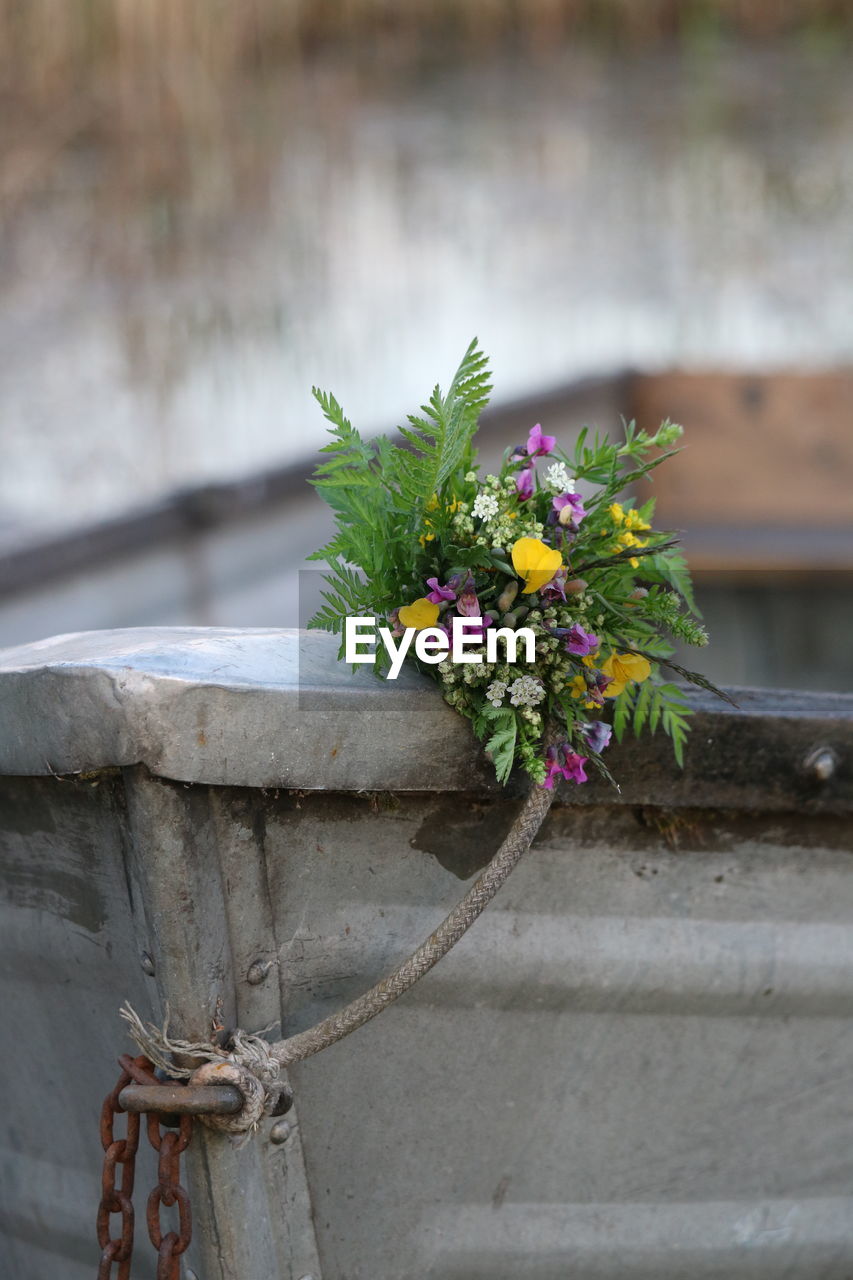 POTTED PLANT AGAINST WALL