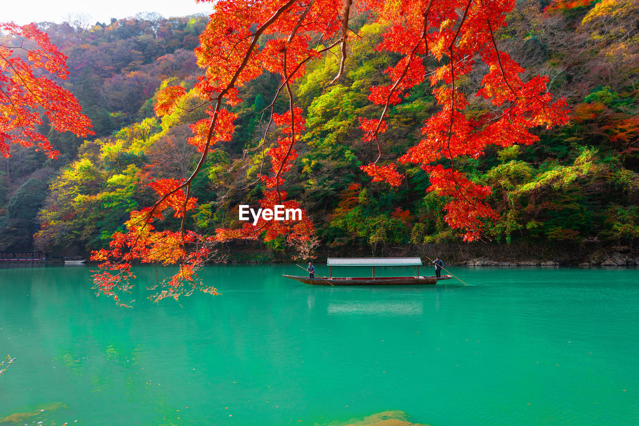The boatman on the katsura river on both sides is full of beautiful colorful trees
