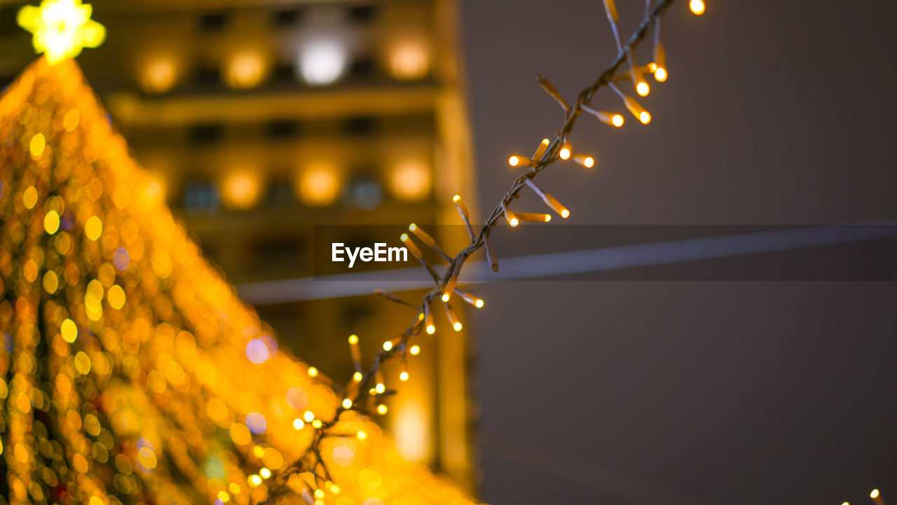 CLOSE-UP OF ILLUMINATED CHRISTMAS LIGHTS