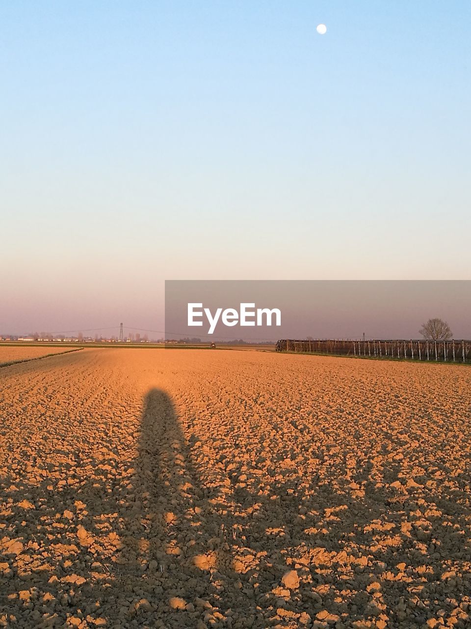 Scenic view of field against clear sky