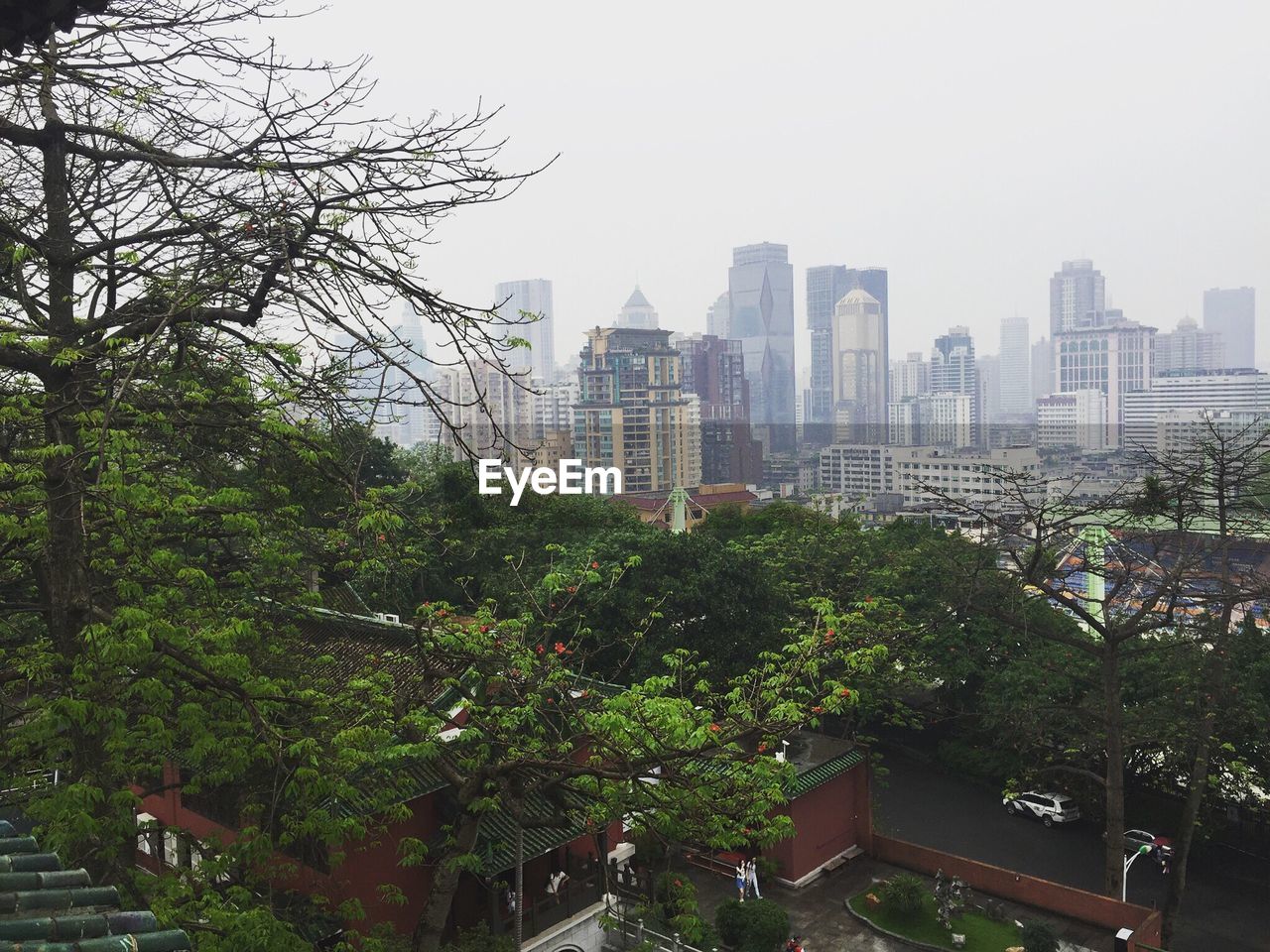 TREES AGAINST CITYSCAPE