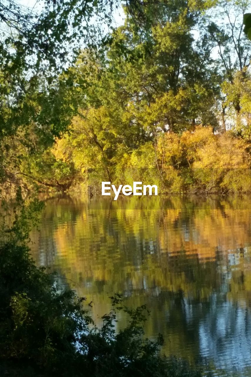 Scenic view of lake in forest against sky