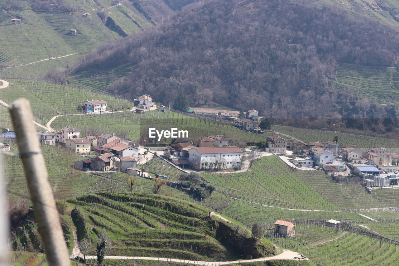 HIGH ANGLE VIEW OF AGRICULTURAL LANDSCAPE