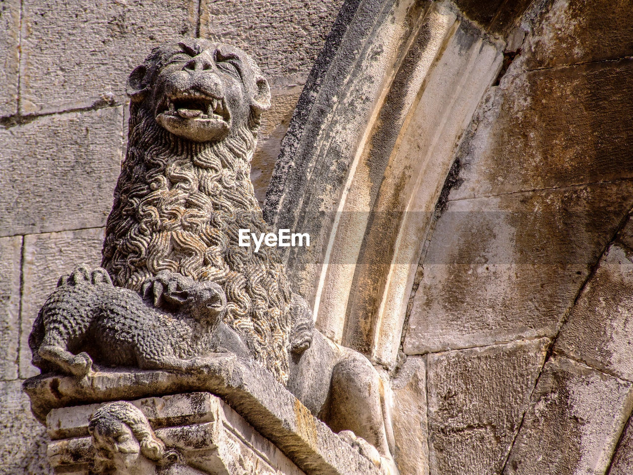 CLOSE-UP OF ELEPHANT