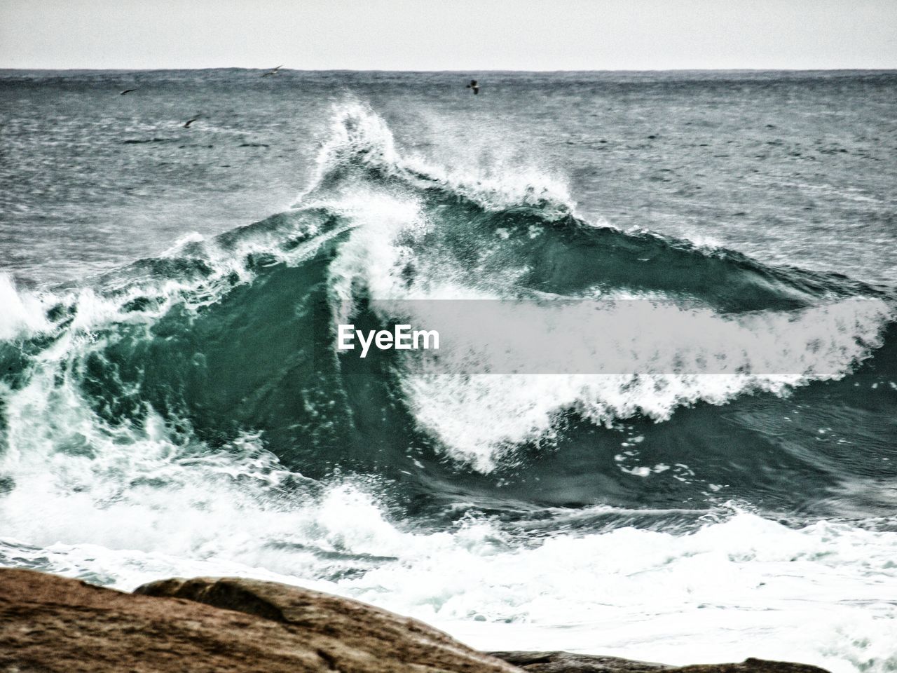 WAVES SPLASHING ON SHORE