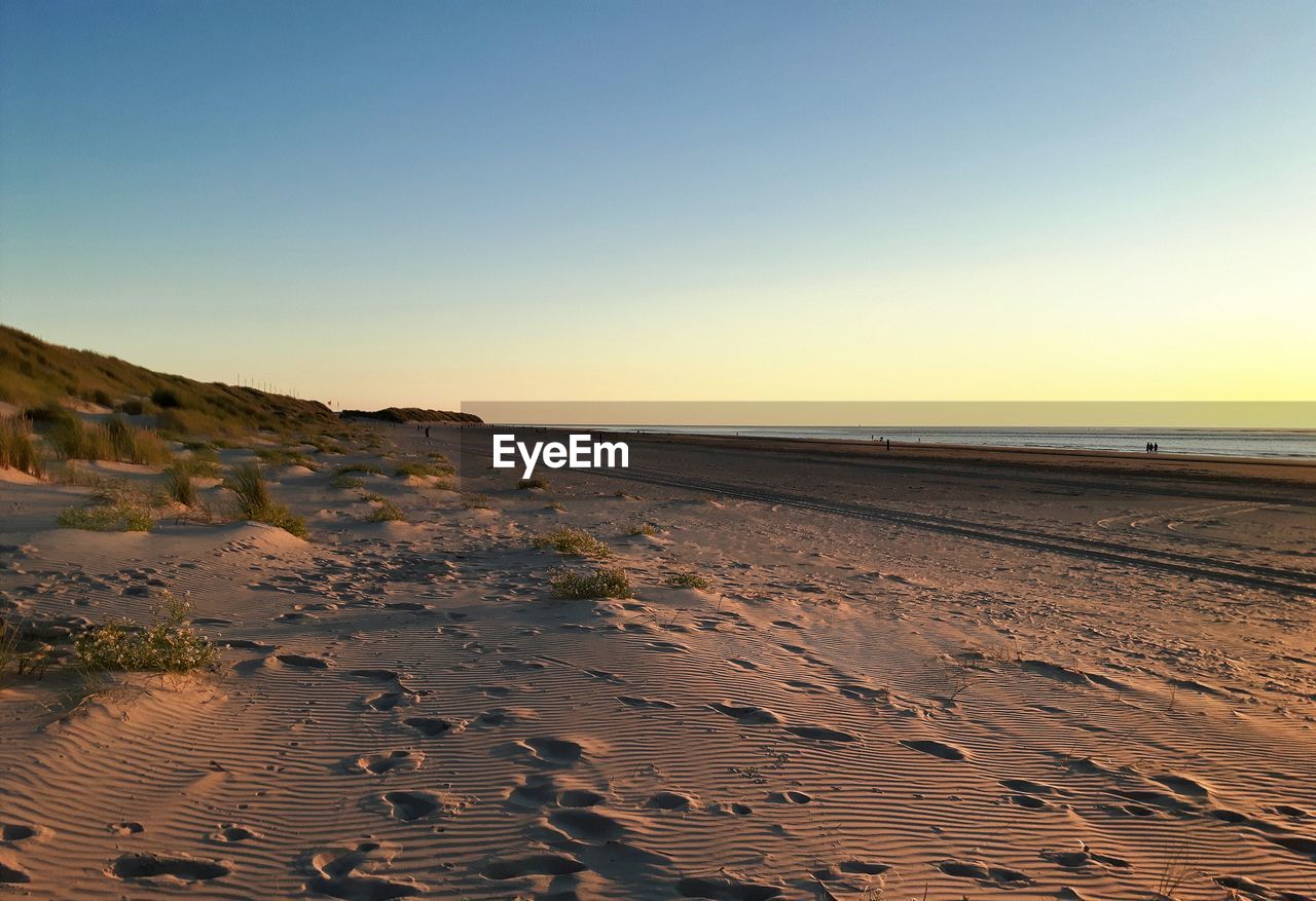 Scenic view of sandy beach during sunset