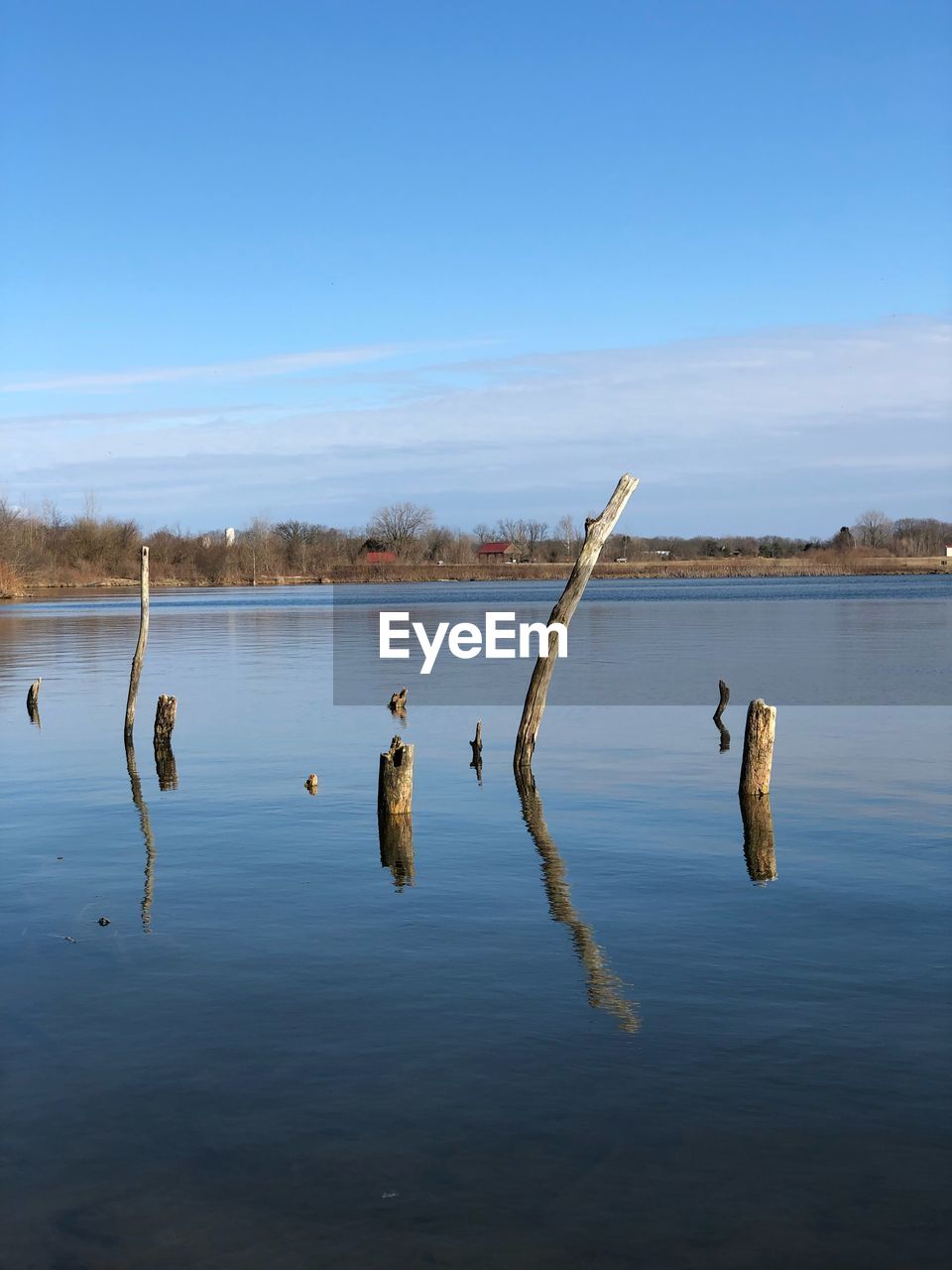 DUCKS SWIMMING IN A LAKE