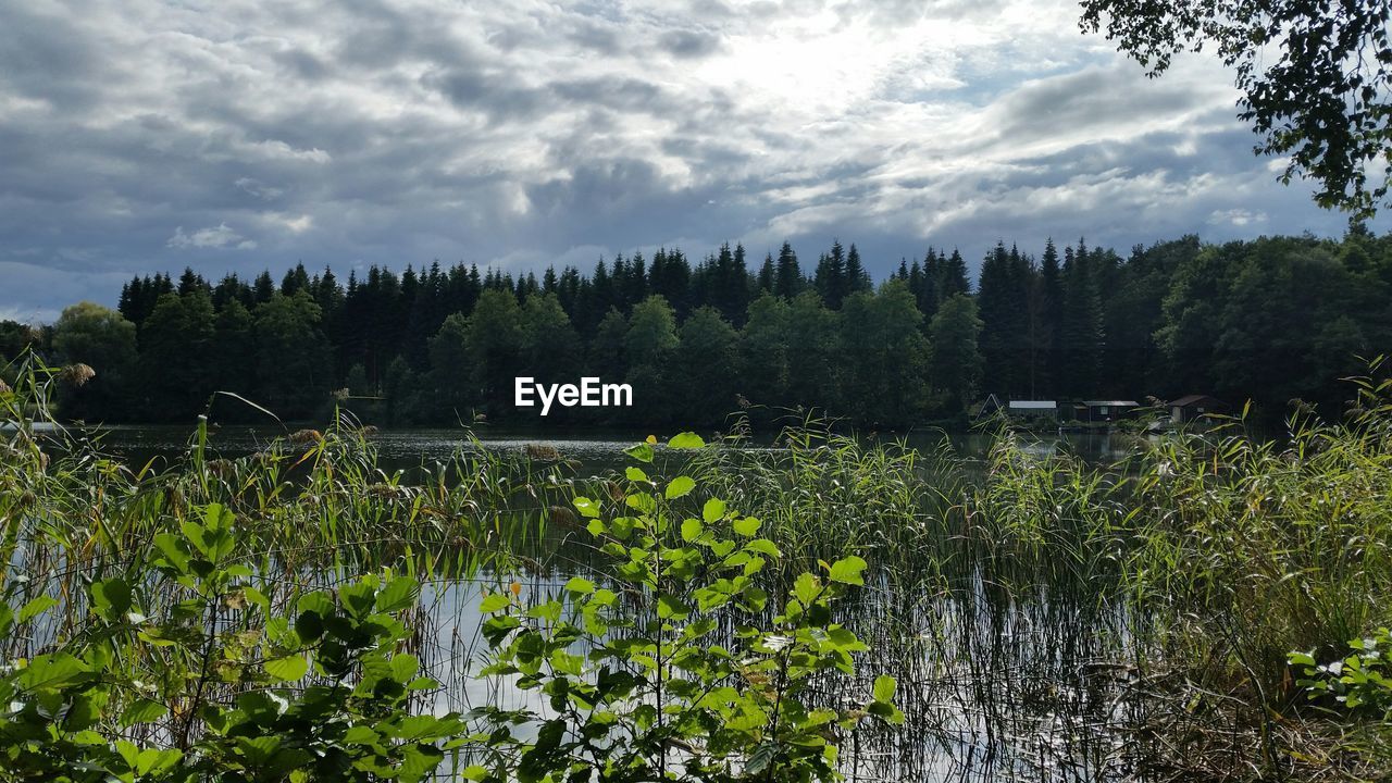 Lake and trees against cloudy sky