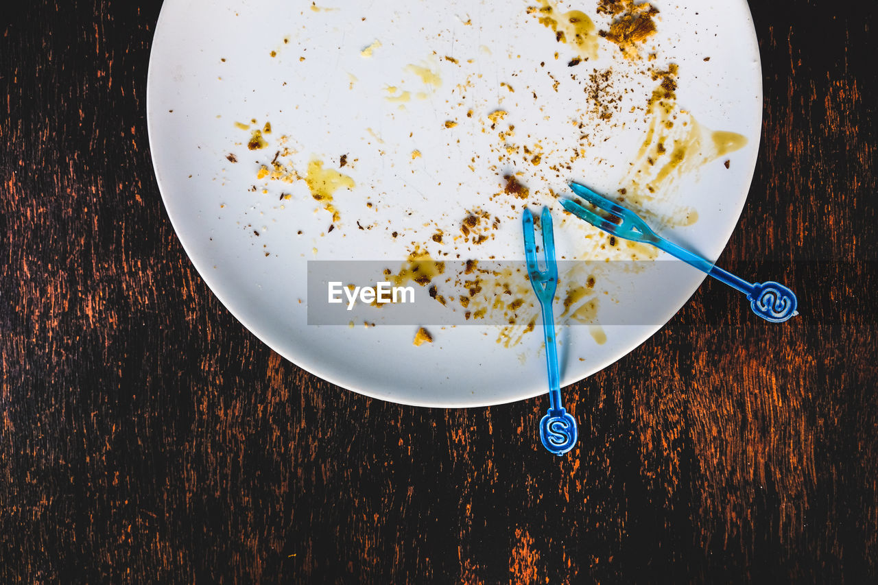 HIGH ANGLE VIEW OF FOOD IN PLATE