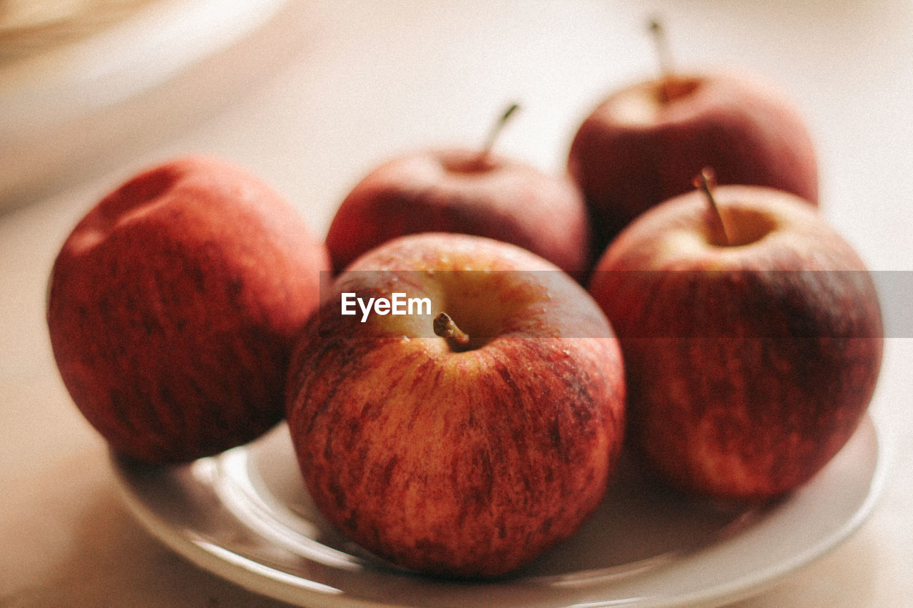 CLOSE-UP OF APPLES IN PLATE