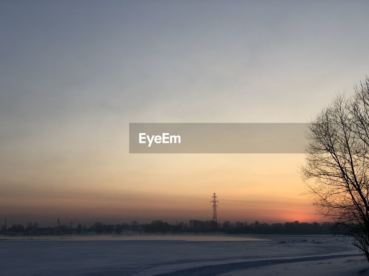 SILHOUETTE OF BARE TREES DURING WINTER