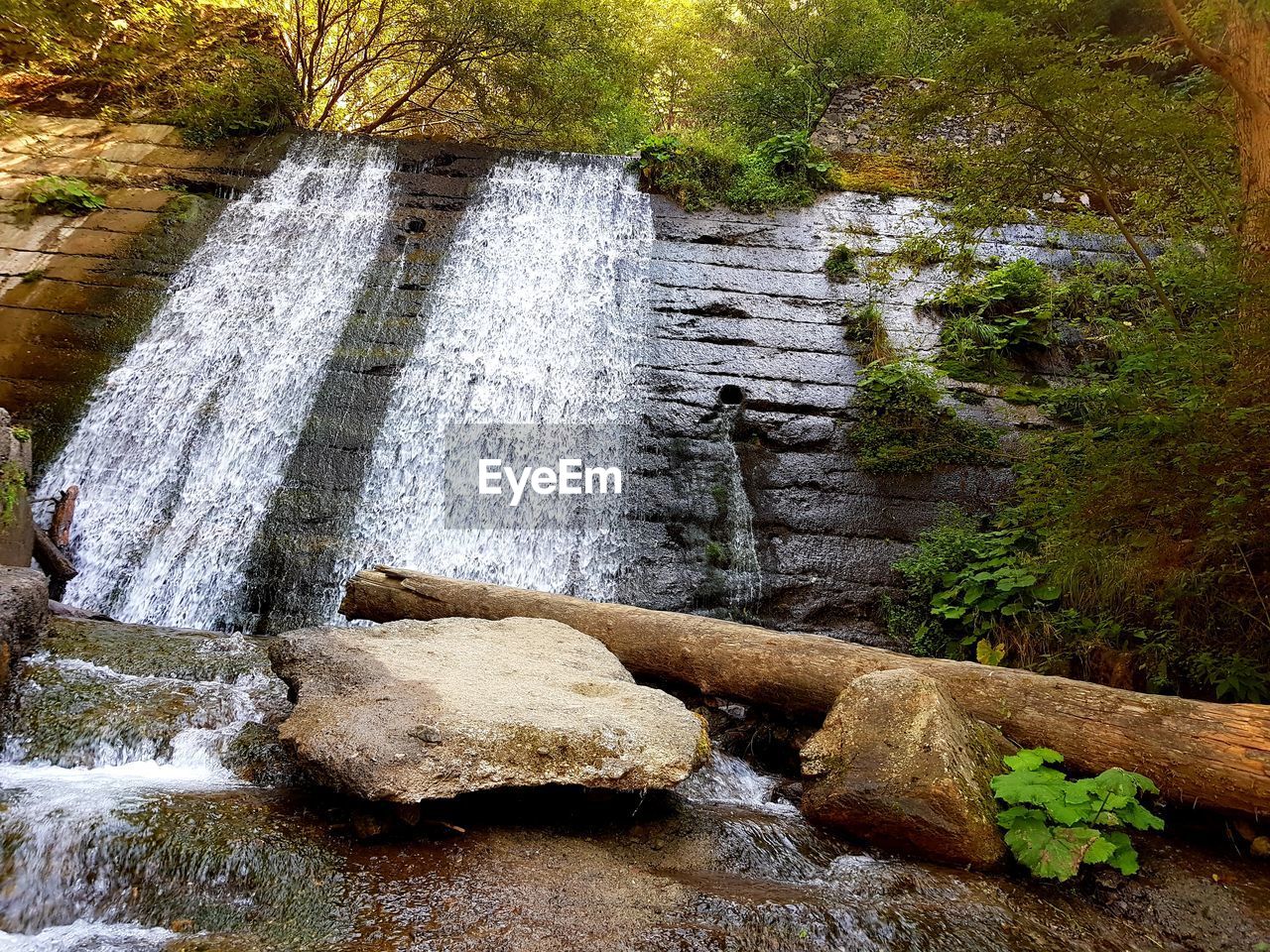 WATER FLOWING THROUGH ROCKS IN FOREST