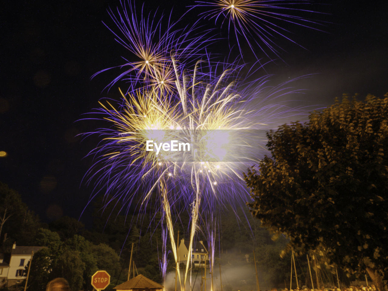 low angle view of firework display against sky at night