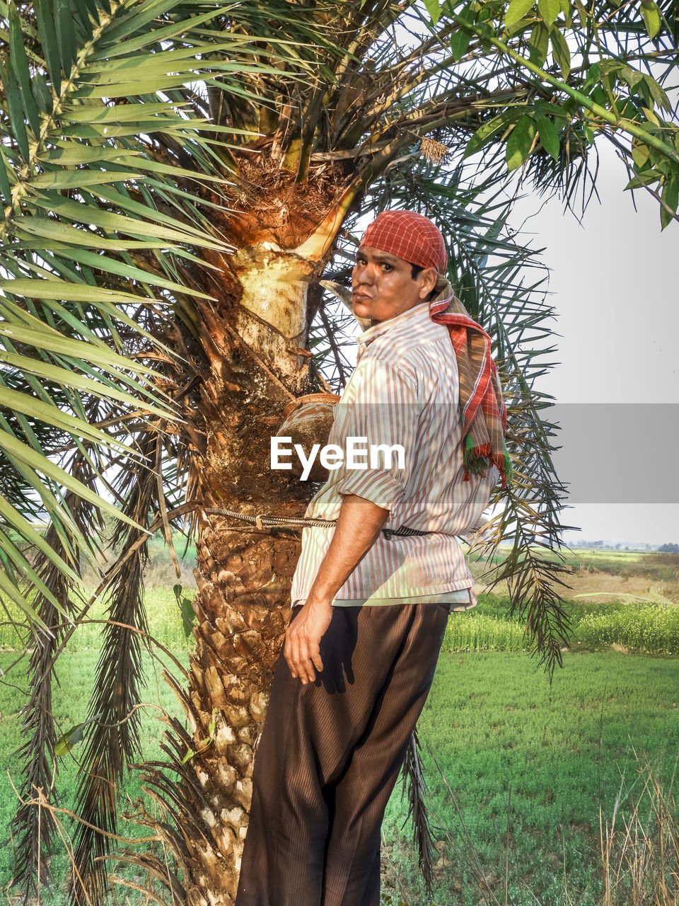 FULL LENGTH OF MAN STANDING ON TREE