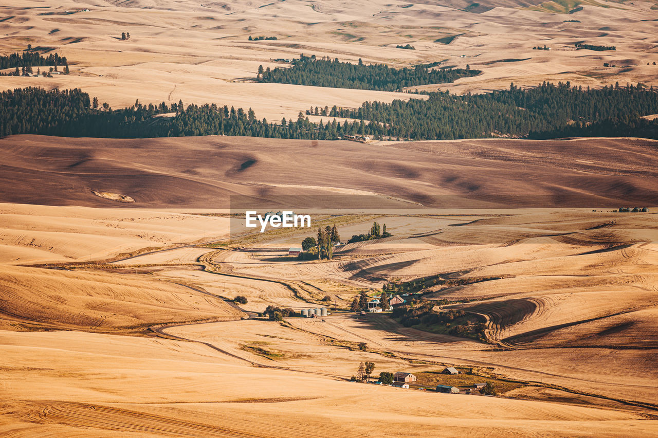 Aerial view of desert