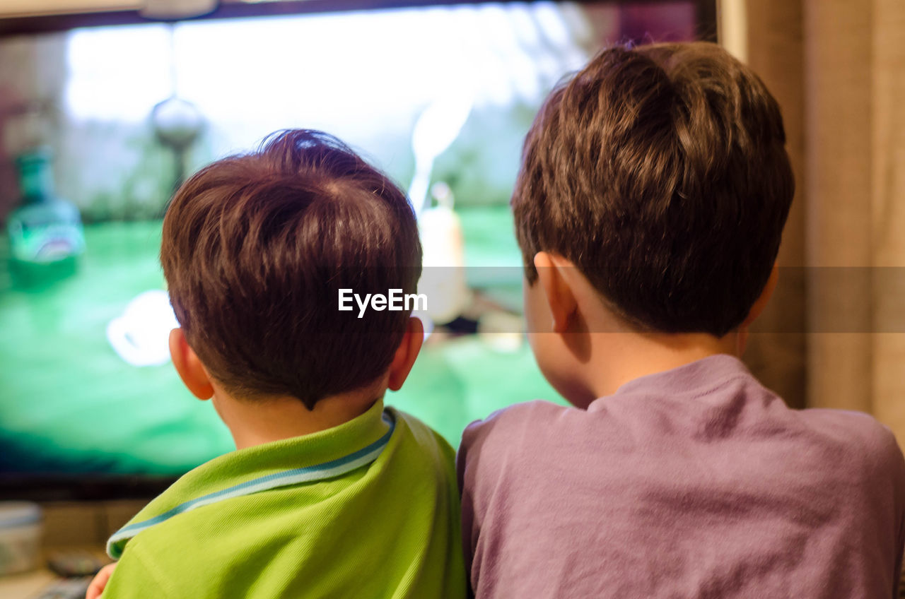 Rear view of brothers watching television set at home