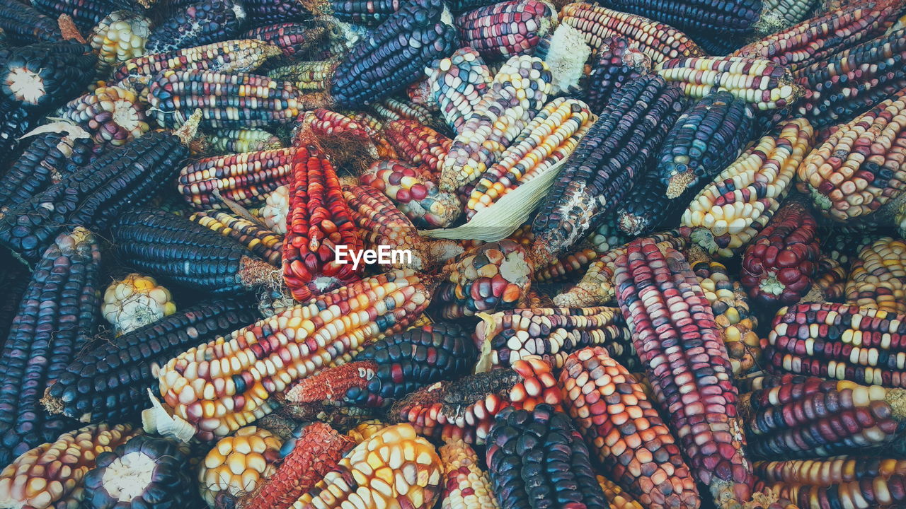 Full frame shot of maize for sale in market