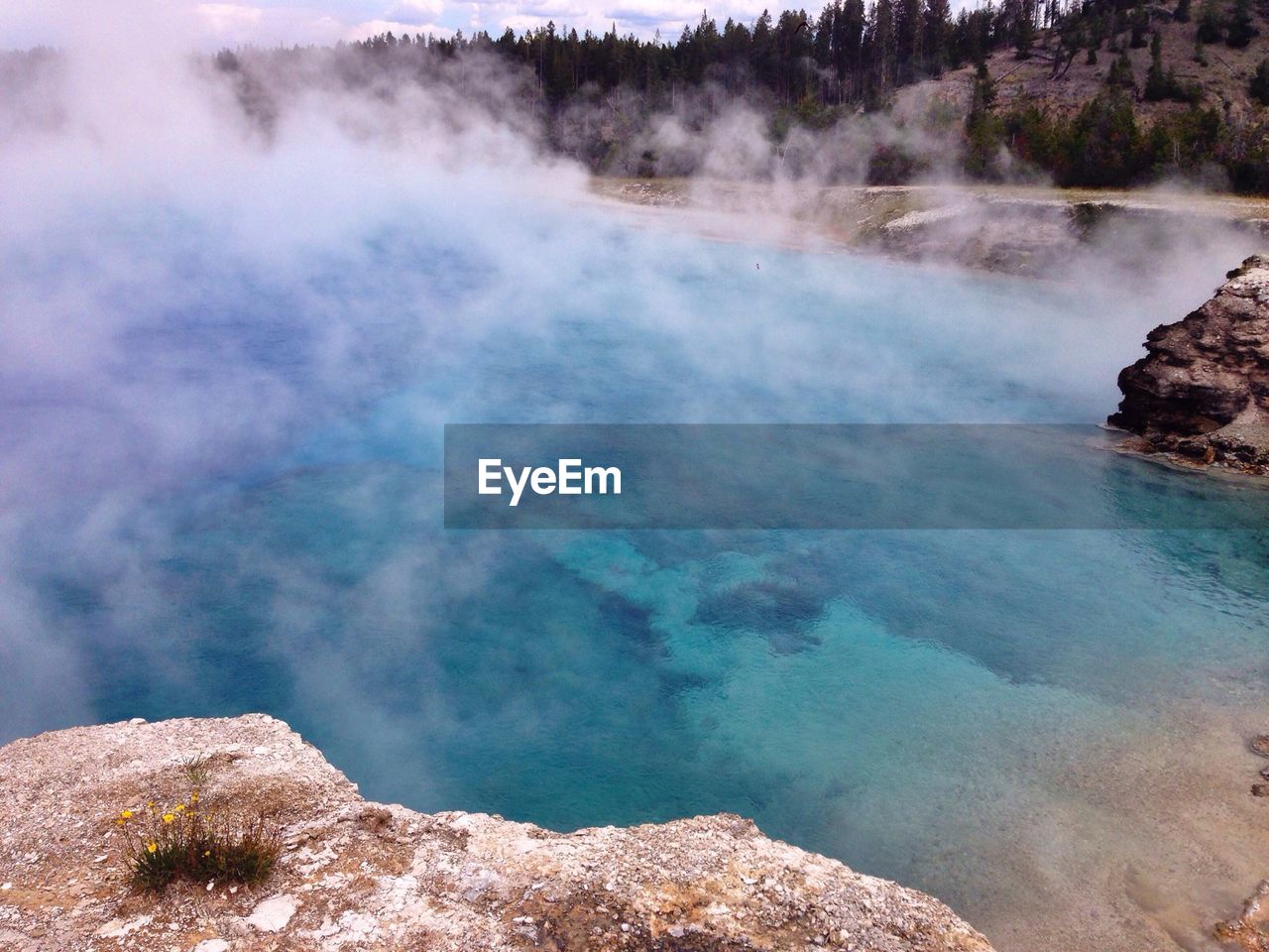 Geyser in yellowstone national park