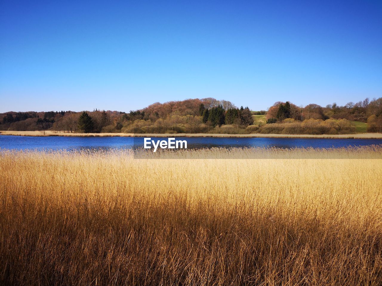 Scenic view of lake against clear blue sky