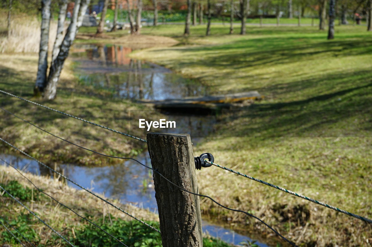 Fence on field by trees in forest