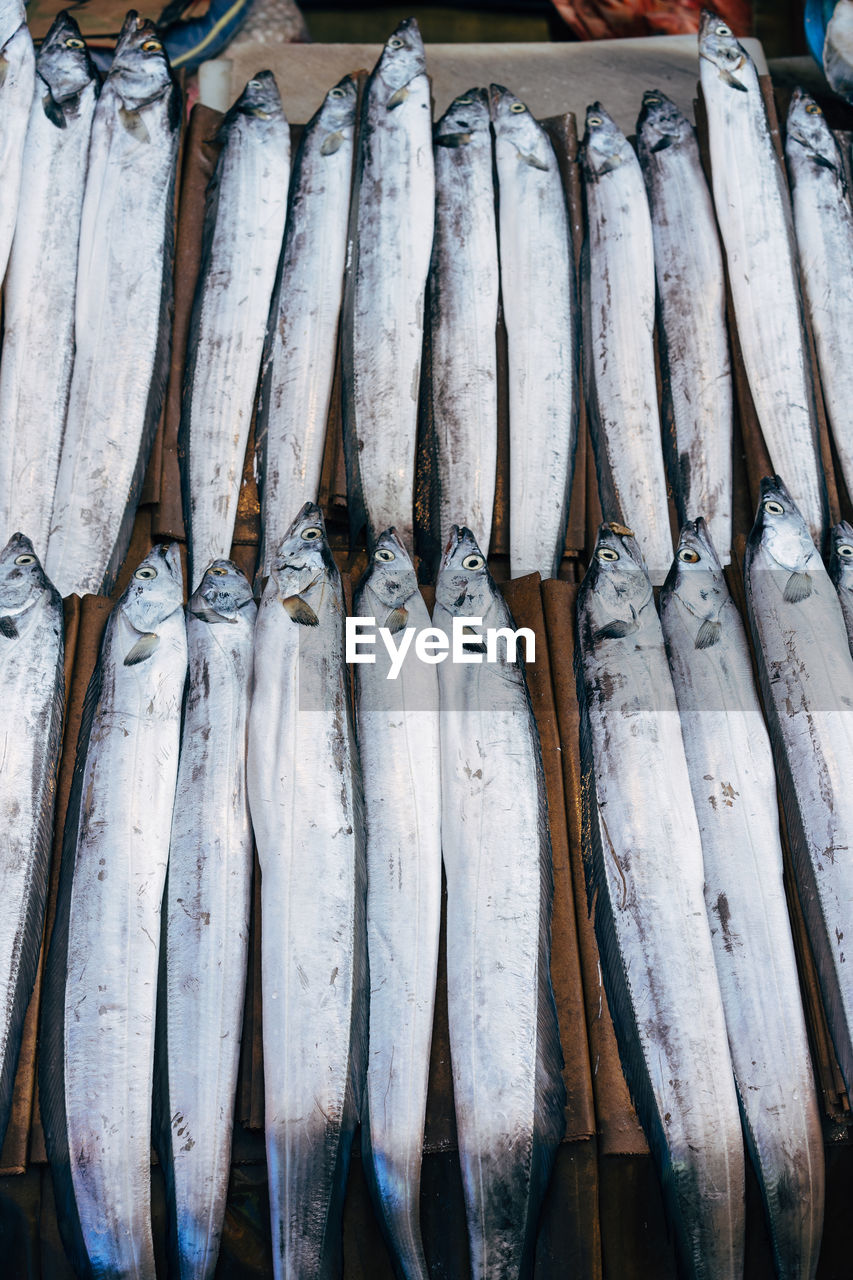 High angle view of fish for sale in market