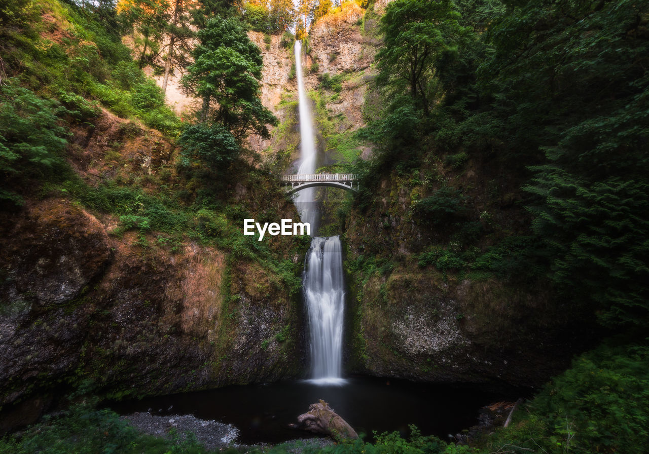 Multnomah falls amidst benson bridge