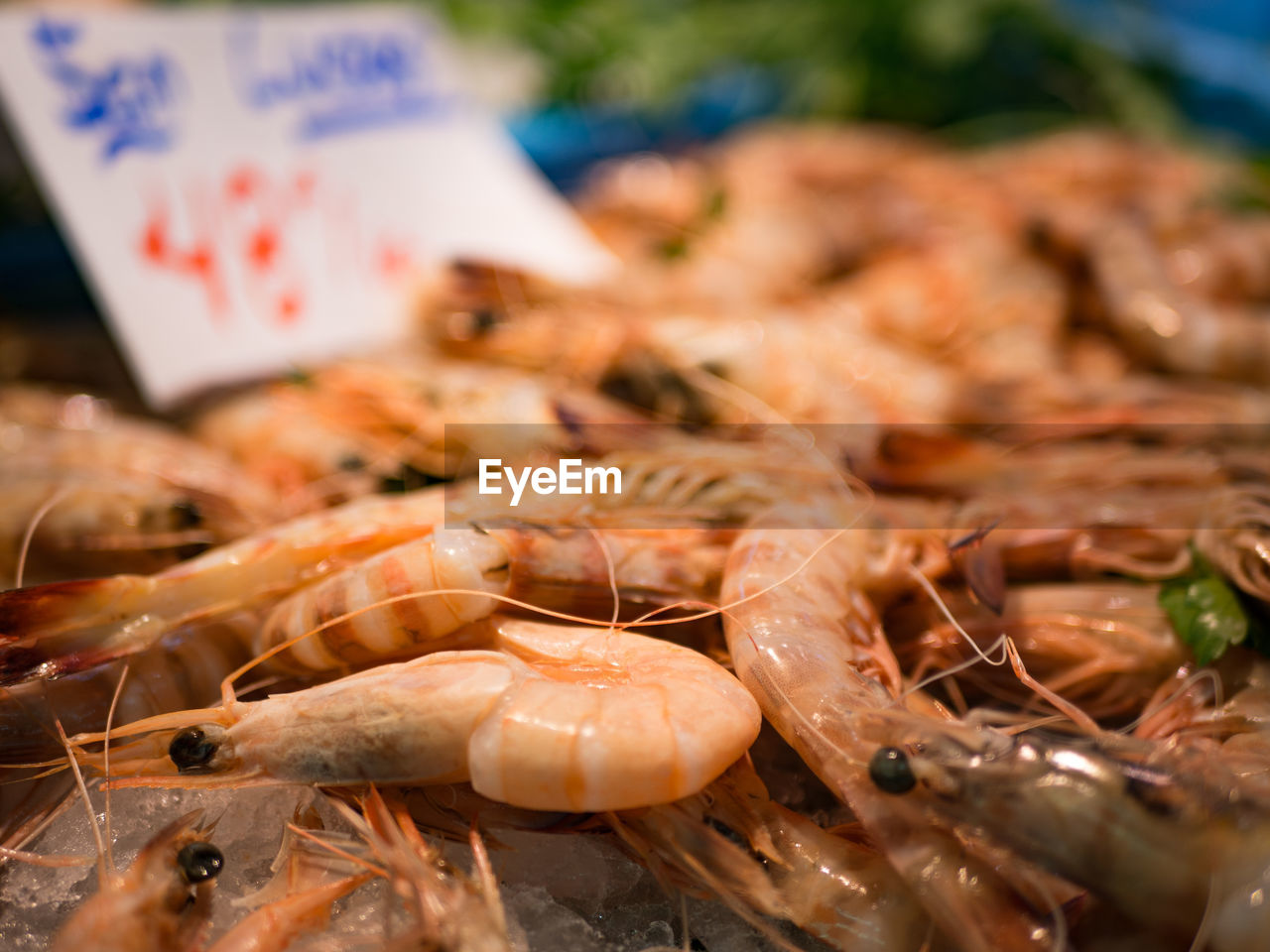 Close-up of prawns for sale at market stall