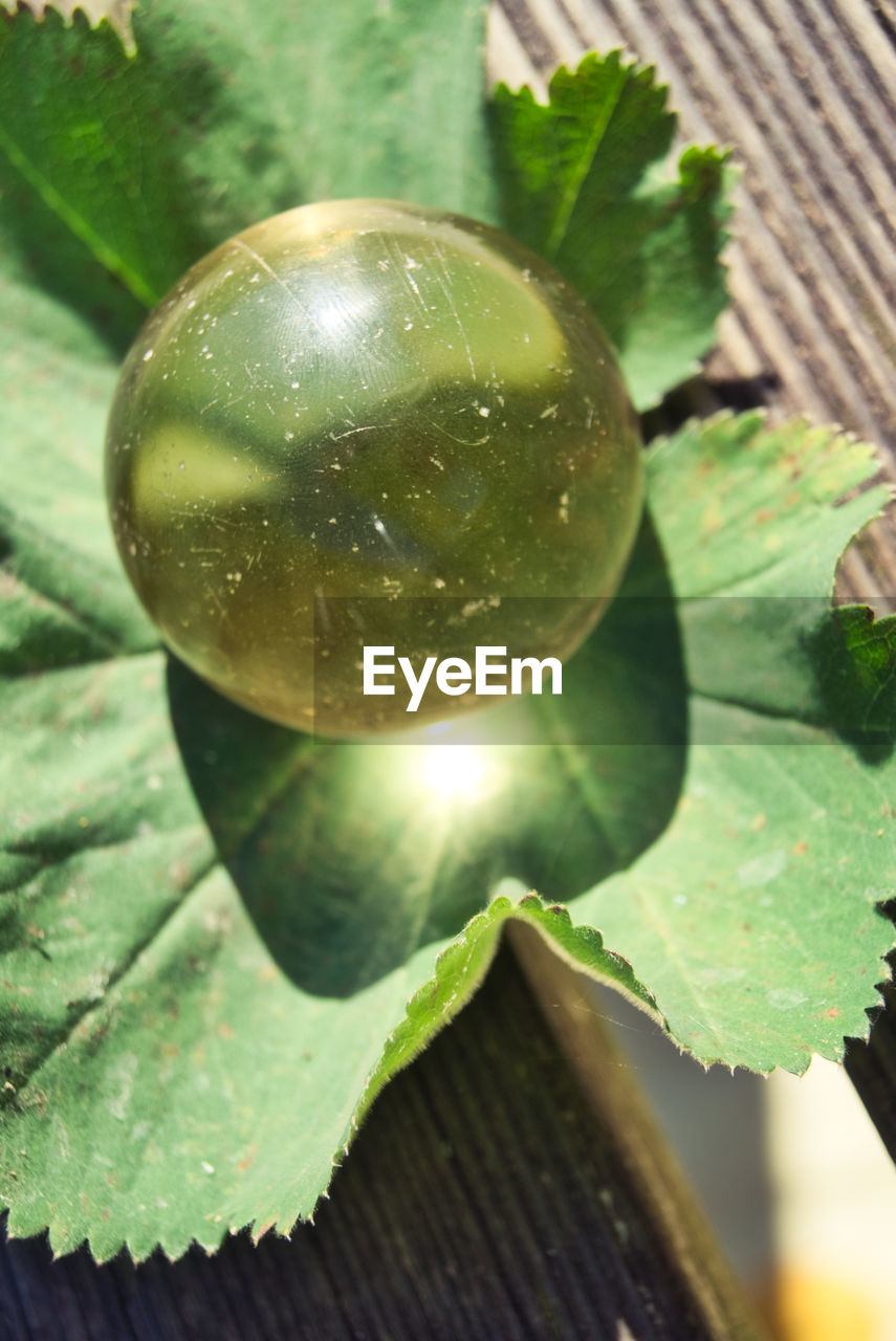Close-up of crystal glass ball and leaf on table